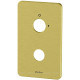Накладка для термостата Allen Brau Priority 4.0 на 1 ход брашированное золото 5.3U1XX-GB