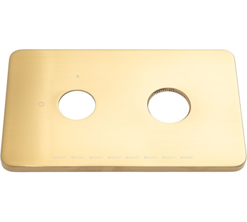 Накладка для термостата Allen Brau Priority 4.0 на 1 ход брашированное золото 5.3U1XX-GB