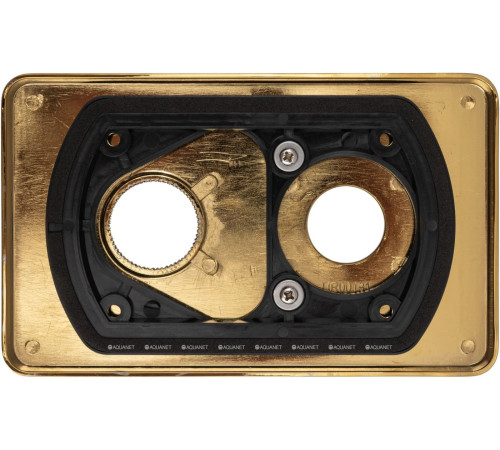 Накладка для термостата Allen Brau Priority 4.0 на 1 ход брашированное золото 5.3U1XX-GB