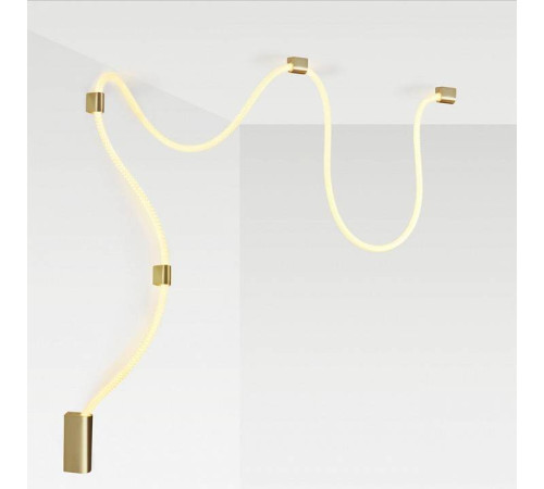 Накладной светильник Odeon Light Corda 4397/30CL