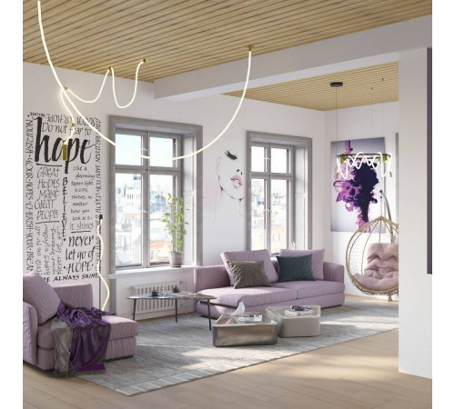 Накладной светильник Odeon Light Corda 4397/30CL