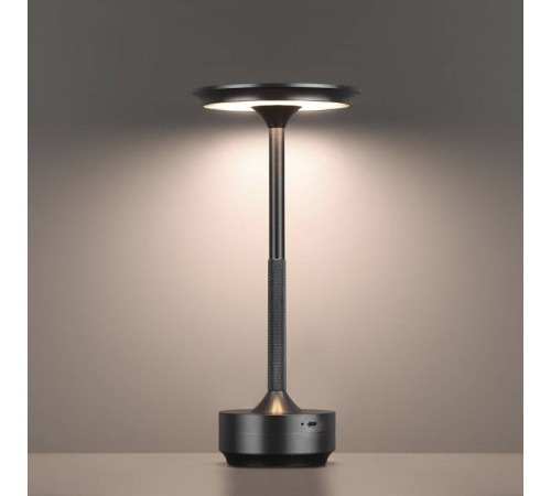 Настольная лампа декоративная Odeon Light Tet-A-Tet 5034/6TL