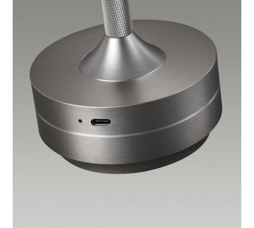 Настольная лампа декоративная Odeon Light Tet-A-Tet 5035/6TL