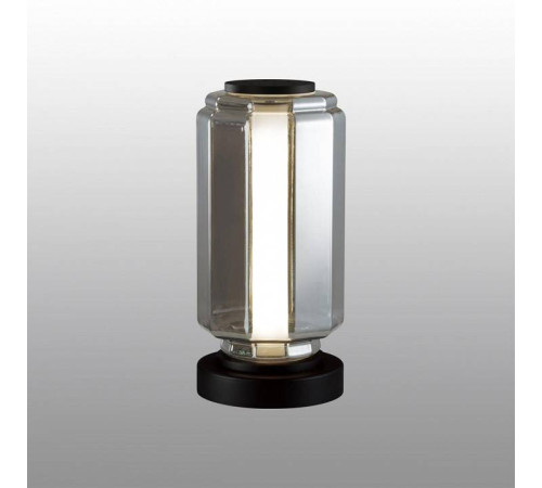 Настольная лампа декоративная Odeon Light Jam 5408/10TL