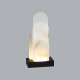 Настольная лампа декоративная Odeon Light Foros 5438/12TL