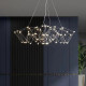 Подвесная люстра O-LUCE Sia 1096011-1