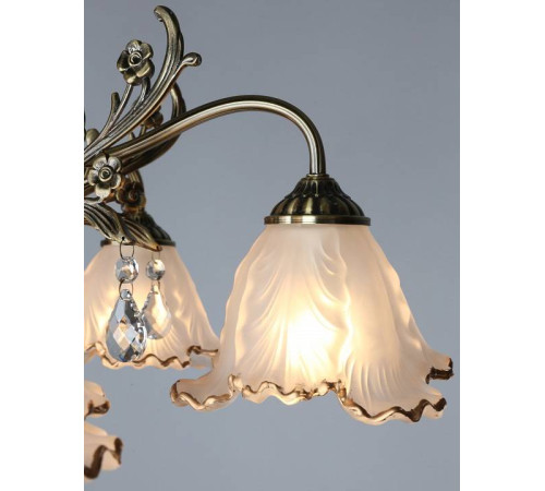 Потолочная люстра Omnilux Petrara OML-54807-05