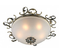 Накладной светильник Omnilux Ragusa OML-76507-05