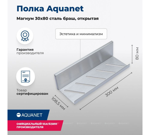 Полка Aquanet Магнум 300х80х100 мм открытая сталь браш 00334113