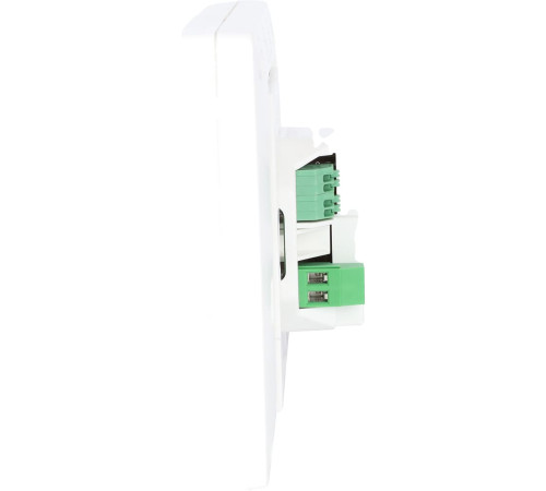 Центральный управляющий модуль Watts BT-CT02-RF без WiFi сенсорный 10036868