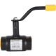 Кран шаровой стальной BROEN Ballomax DN 32 PN 40 резьбовой с рукояткой 300179
