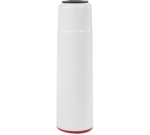 Картридж Гейзер Fe 10SL для удаления железа 28201