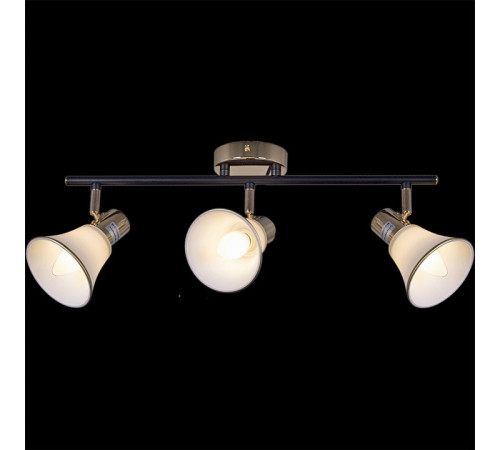 Люстра на штанге 05901-0.8-03 BK+FGD