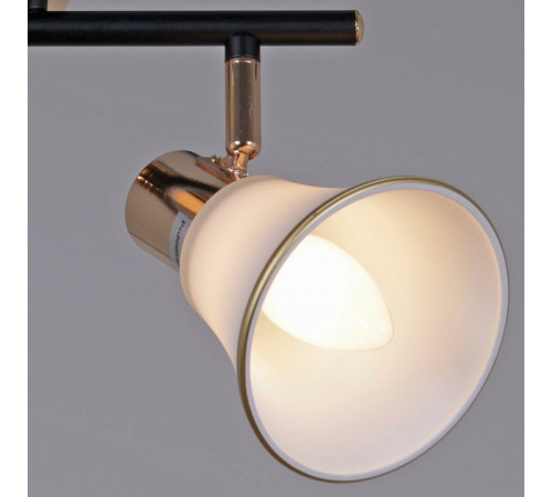 Люстра на штанге 05901-0.8-03 BK+FGD