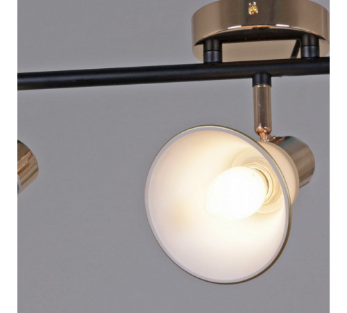 Люстра на штанге 05901-0.8-03 BK+FGD