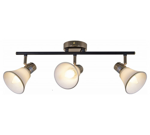 Люстра на штанге 05901-0.8-03 BK+FGD