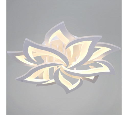 Люстра на штанге 20150-0.3-5+5 WH