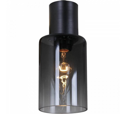 Люстра на штанге Reluce 74677 74677-0.3-08