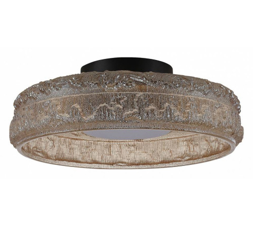 Накладной светильник ST-Luce ANTIKE SL6143.422.01