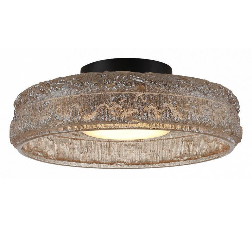 Накладной светильник ST-Luce ANTIKE SL6143.422.01