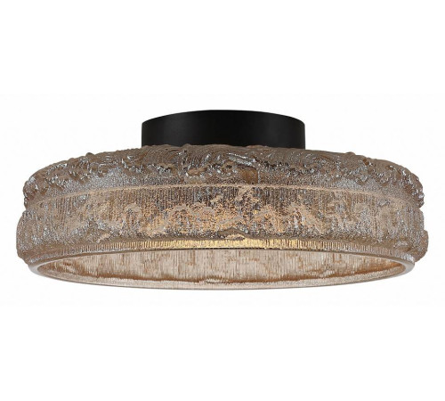 Накладной светильник ST-Luce ANTIKE SL6143.422.01