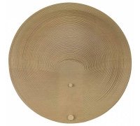 Накладной светильник ST-Luce Fossil SL6900.501.16