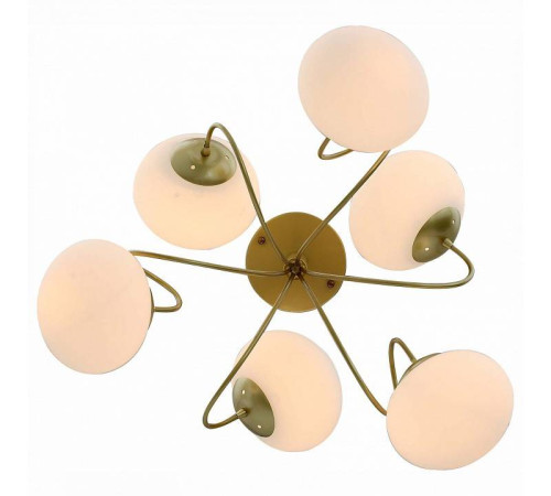 Люстра на штанге EVOLUCE Acini SL717.202.06