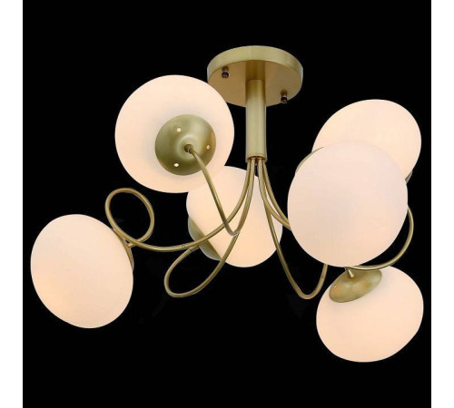 Люстра на штанге EVOLUCE Acini SL717.202.06