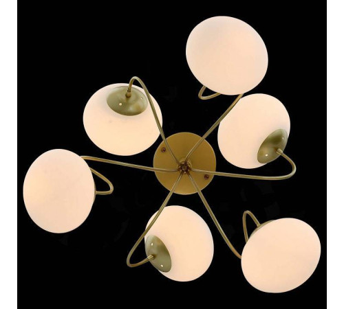 Люстра на штанге EVOLUCE Acini SL717.202.06