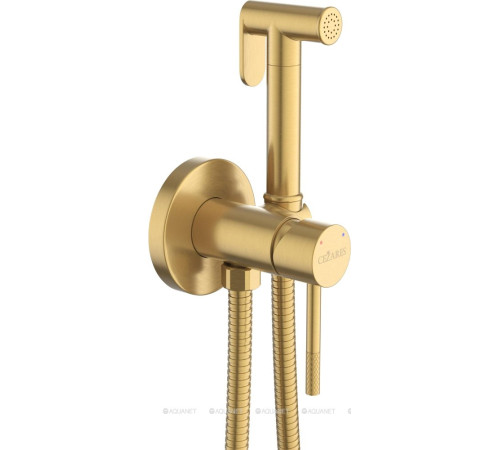 Гигиенический душ со смесителем Cezares RELAX брашированное золото RELAX-DIF-BORO
