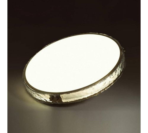 Светильник накладной Sonex Felice 7722/120L
