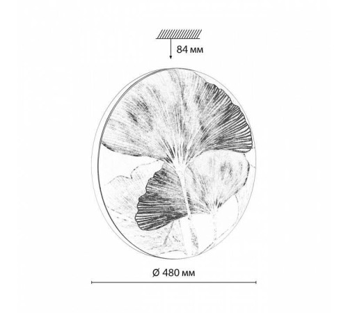 Накладной светильник Sonex Floren 7747/EL