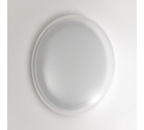 Накладной светильник Sonex JOLLY 7776/DLN