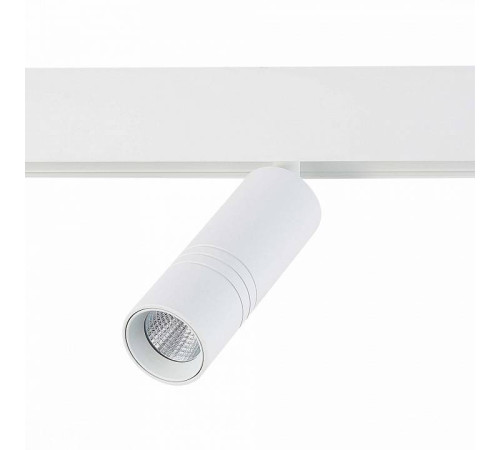 Светильник на штанге ST-Luce Lemmi ST365.546.12
