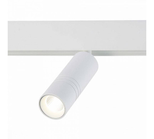 Светильник на штанге ST-Luce Lemmi ST365.546.12