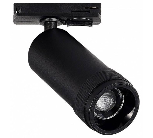 Светильник на штанге ST-Luce BASE ST385.446.20