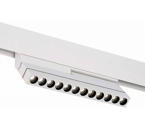 Светильник на штанге ST-Luce ST805 ST805.546.12