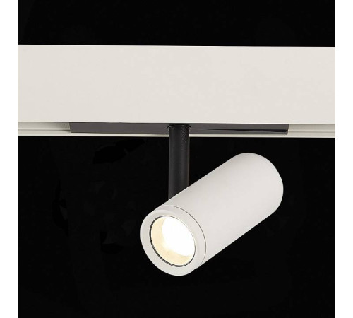 Светильник на штанге ST-Luce ST808 ST808.546.08