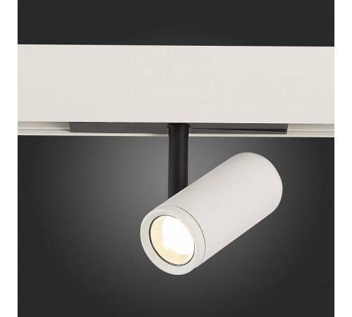 Светильник на штанге ST-Luce ST808 ST808.546.08