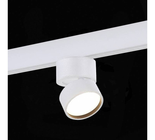 Светильник на штанге ST-Luce ST809 ST809.536.09