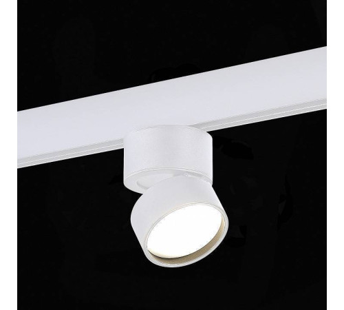 Светильник на штанге ST-Luce ST809 ST809.546.09