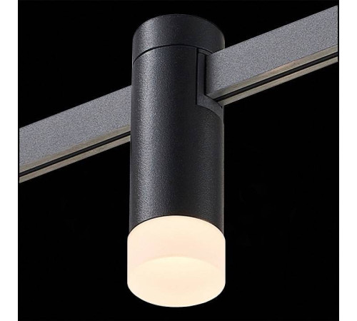 Светильник на штанге ST-Luce Farm ST812.406.03