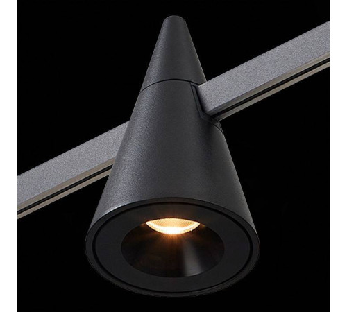 Светильник на штанге ST-Luce Farm ST813.406.05