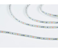 Светодиодная лента SWG SWG260-12-4.8-W-M 4.8 Вт/м 12V IP20 6000K 00-00007261