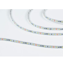 Светодиодная лента SWG SWG260-12-4.8-W-M 4.8 Вт/м 12V IP20 6000K 00-00007261