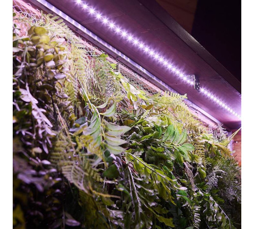 Комплект с лентой светодиодной для растений Uniel ULS UL-00008924
