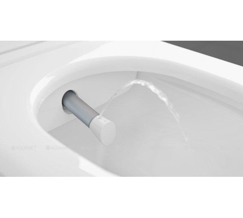 Унитаз-биде подвесной Villeroy & Boch ViClean-I 100 V0E100R1