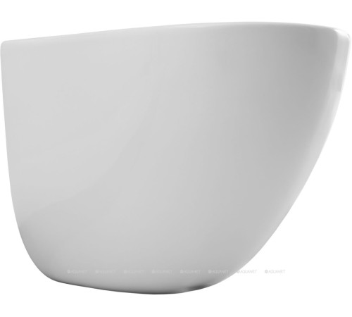 Унитаз подвесной Aquanet EcoVortex Tornado с сиденьем Soft Close 505х360 мм 00348039