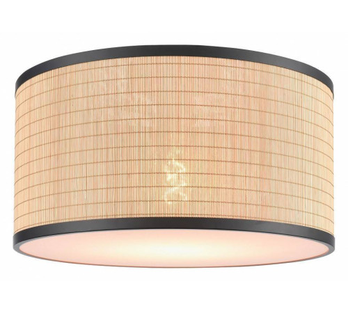 Накладной светильник Velante 568 568-717-01