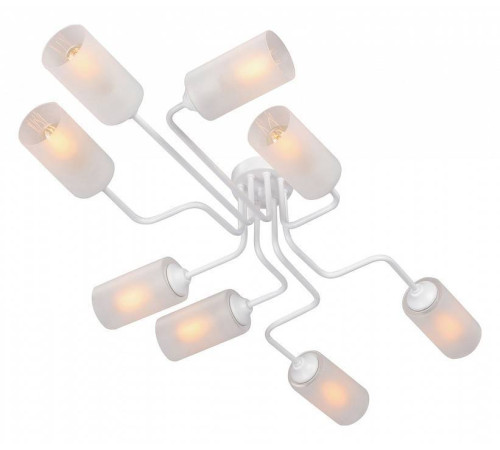 Потолочная люстра Vitaluce V4310 V4310-0/8PL